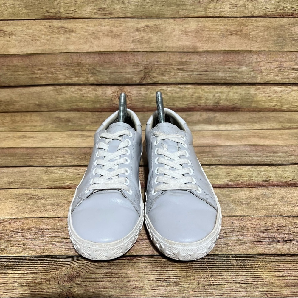 Ash Grey Leather Low Sneakers - Picture 6 of 9